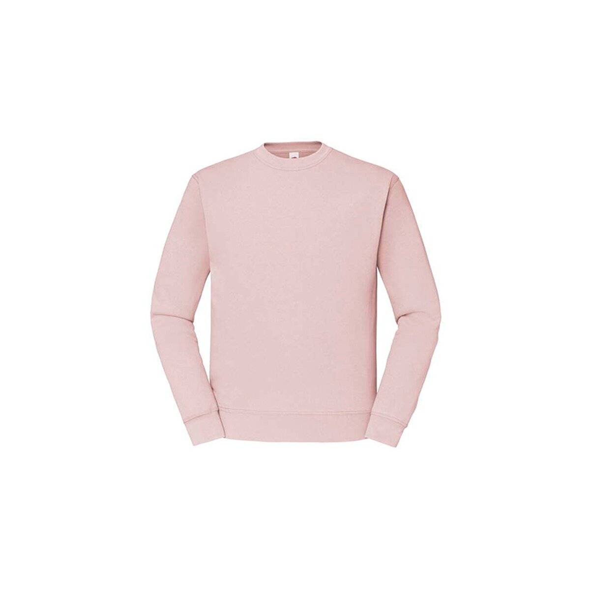Powder Rose