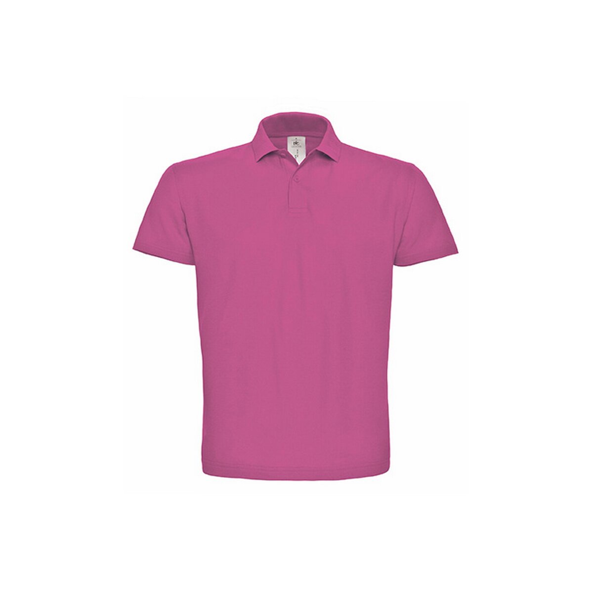 Fuchsia, ,